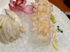 -月龍吟(朝龙汇店)