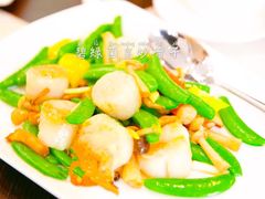碧绿菌皇炒带子-喜粤8号(四海唐人街店)