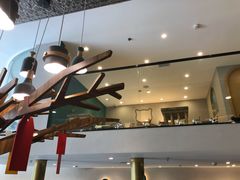 -飞行喵MR PILOT|猫舍·猫咖(静安大融城店)