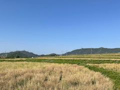 -光明小镇欢乐田园