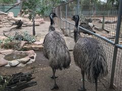 -费瑟代尔野生动物园