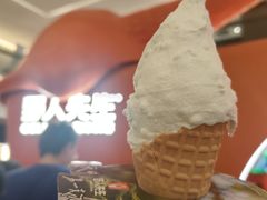 -野人先生现做冰淇淋(北京王府井东方新天地店)