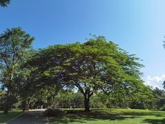 -中国科学院西双版纳热带植物园