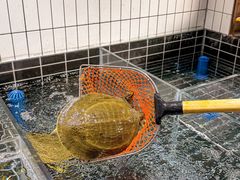 -黄弟大排档·湖南菜·小龙虾·小海鲜(凯旋北路店)