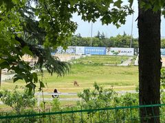 -苏州环秀晓筑养生度假村