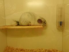 -龙猫仔乐园(惠福东路店)