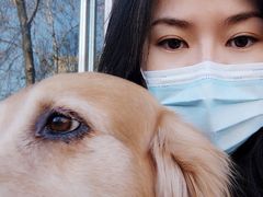 -美联众合动物医院·24h转诊中心