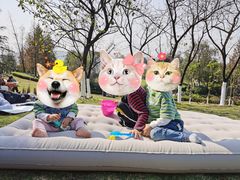 -铁山坪森林公园