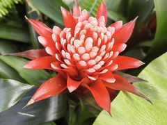-上海辰山植物园