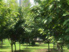 -汉江湾体育公园