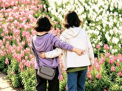 -径山花海