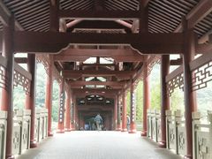 -重庆彩云湖湿地公园