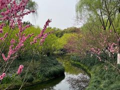 -柳浪闻莺公园