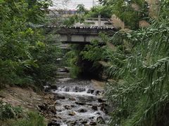 -羊山湖公园