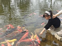 -青岛鑫江温德姆酒店