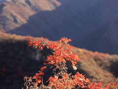 -周口店坡峰岭风景区