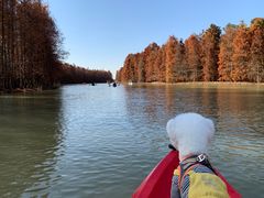 -上海海湾国家森林公园