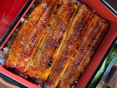 -料亭菊水楼