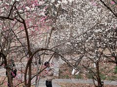 -杭州植物园