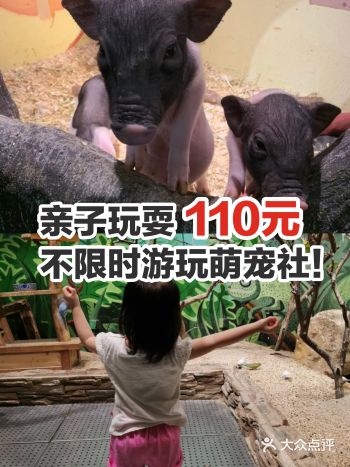 别担心，可以考虑考虑带孩子来萌宠社啊️ ！