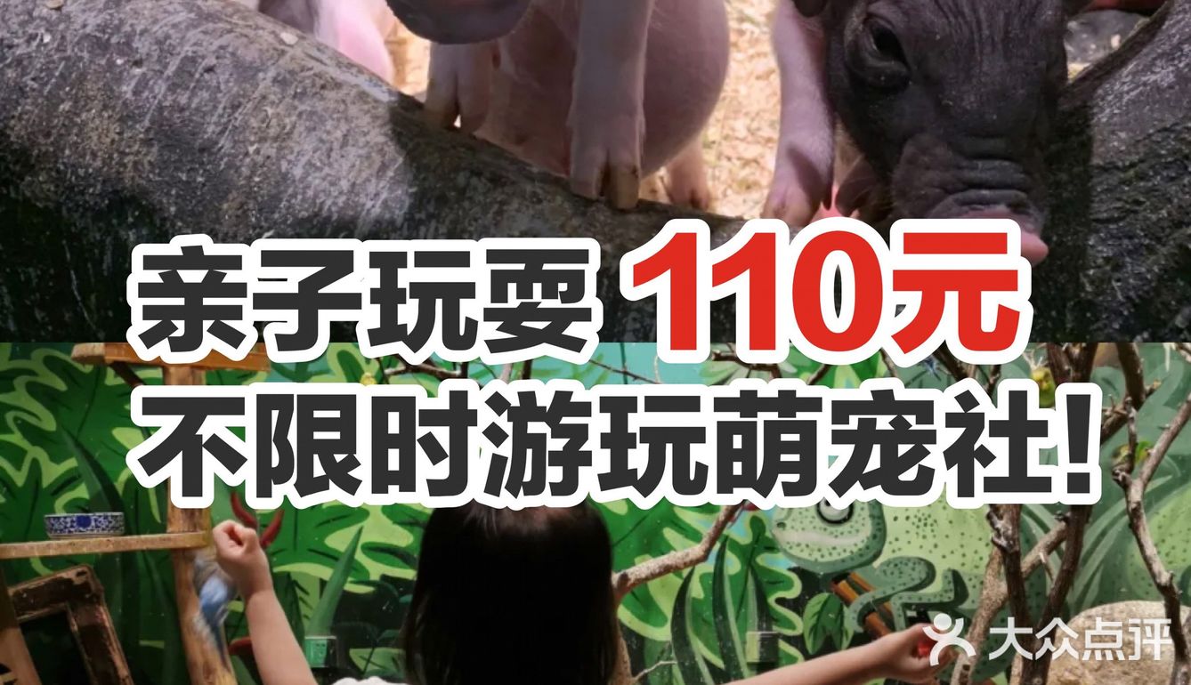别担心，可以考虑考虑带孩子来萌宠社啊️ ！