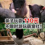 别担心，可以考虑考虑带孩子来萌宠社啊️ ！