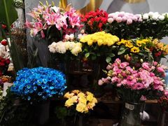 -BOBLOOM花店(宝龙旭辉广场店)