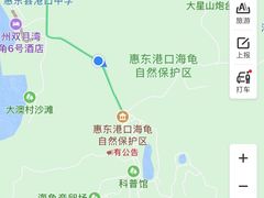 -广东惠东海龟国家级自然保护区