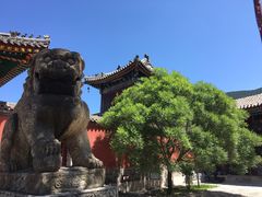 -五台山风景名胜区-罗睺寺