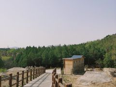 -白水寺森林公园
