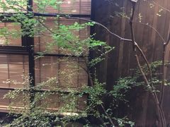 -微热山丘(台北民生公园门市店)