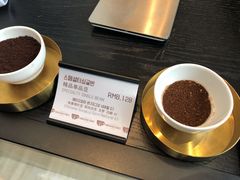 -喜马拉雅森HIMALAYAN FOREST