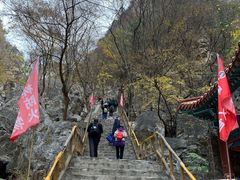 -北京上方山国家森林公园