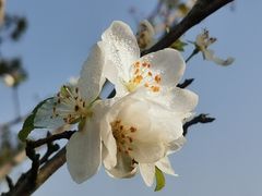 -上海植物园-4号门售票处