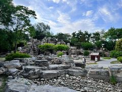 -莲花池公园