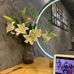 点击看大图 大厅-藤野造型