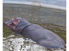 -济南野生动物世界