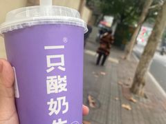 -一只酸奶牛(时代天街A馆店)