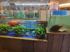 水产区-大铁勺新津菜(迎水道店)
