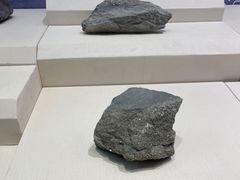 -辽宁古生物博物馆