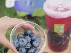 霸气蓝莓-奈雪的茶(东原悦荟店)