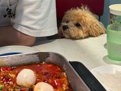 -鱼酷活鱼烤鱼(南京水游城店)