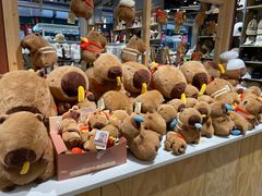 -TheGreenParty(槐房万达店)