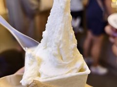 -野人先生Gelato(上海长宁龙之梦店)