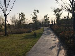 -春花秋色城市公园