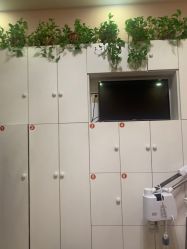 -香薇妮丝·定制减肥·身材管理