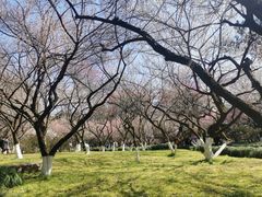 -杭州植物园