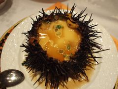 海胆蒸蛋-万宝海鲜舫(劳动公园店)