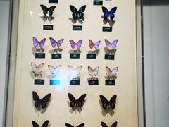 -陕西自然博物馆