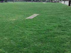 -合肥滨湖国家森林公园